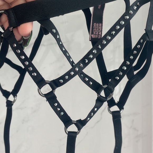 Victoria Secret Swarovski Lingerie - Picture 7 of 11